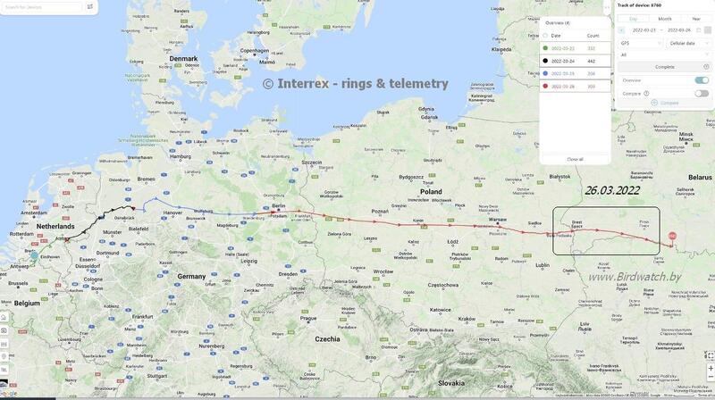 карта перемещений делаверской чайки