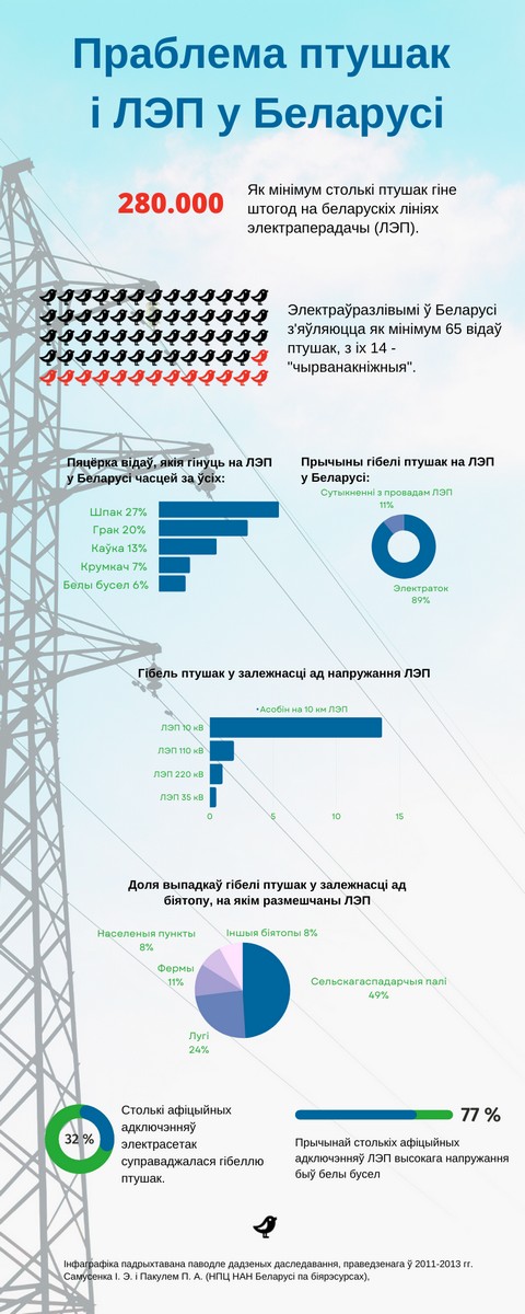 Птушкі і ЛЭП у Беларусі Інфаграфіка м