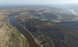 Пажарышчы на Тураўскім балонні. Фота Максіма Бялоцкага