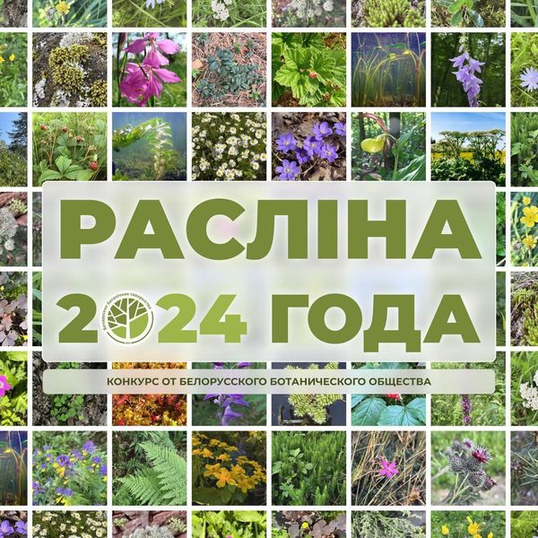 конкурс “Расліна 2024 года”.