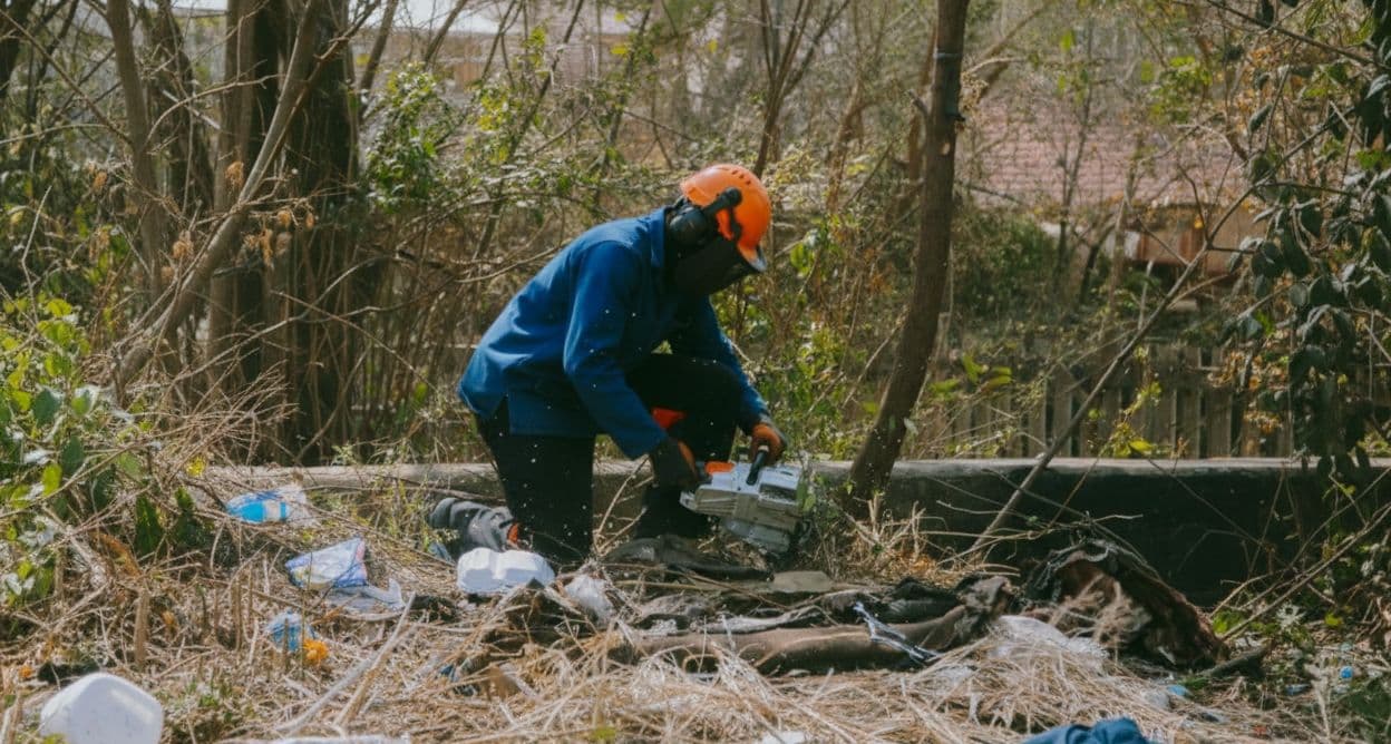 Рабочие убирают инвазивы в ЮАР