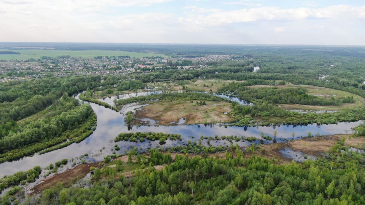 Птичь. Фото компании "Дикая природа"