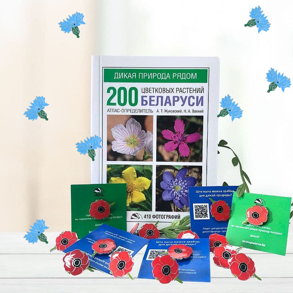 Подарочный набор «Атлас растений + значок-пин с цветком»