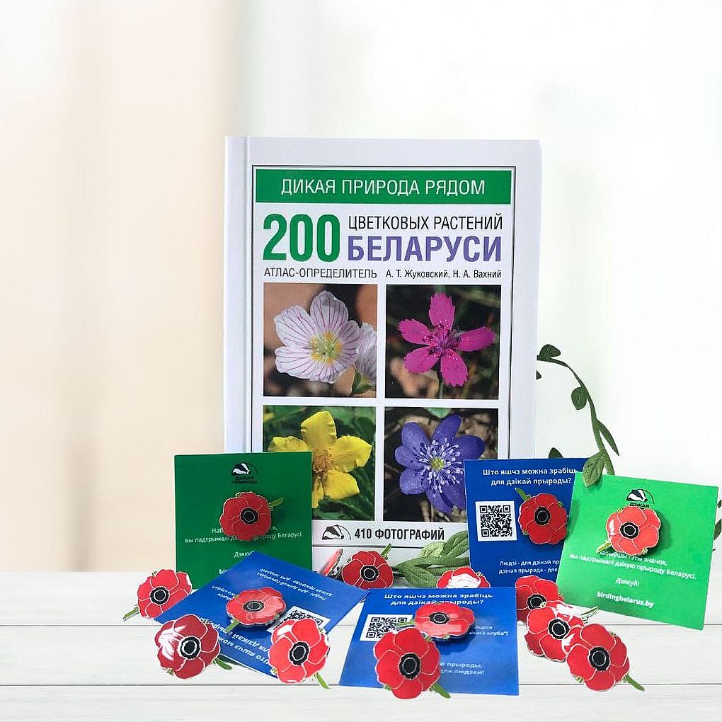 Подарочный набор «Атлас растений + значок с цветком мака»