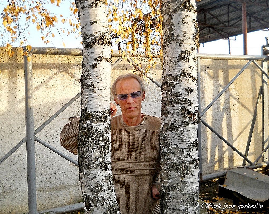 Николай Гурков