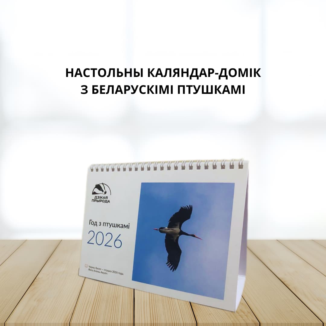Настольный календарь с птицами