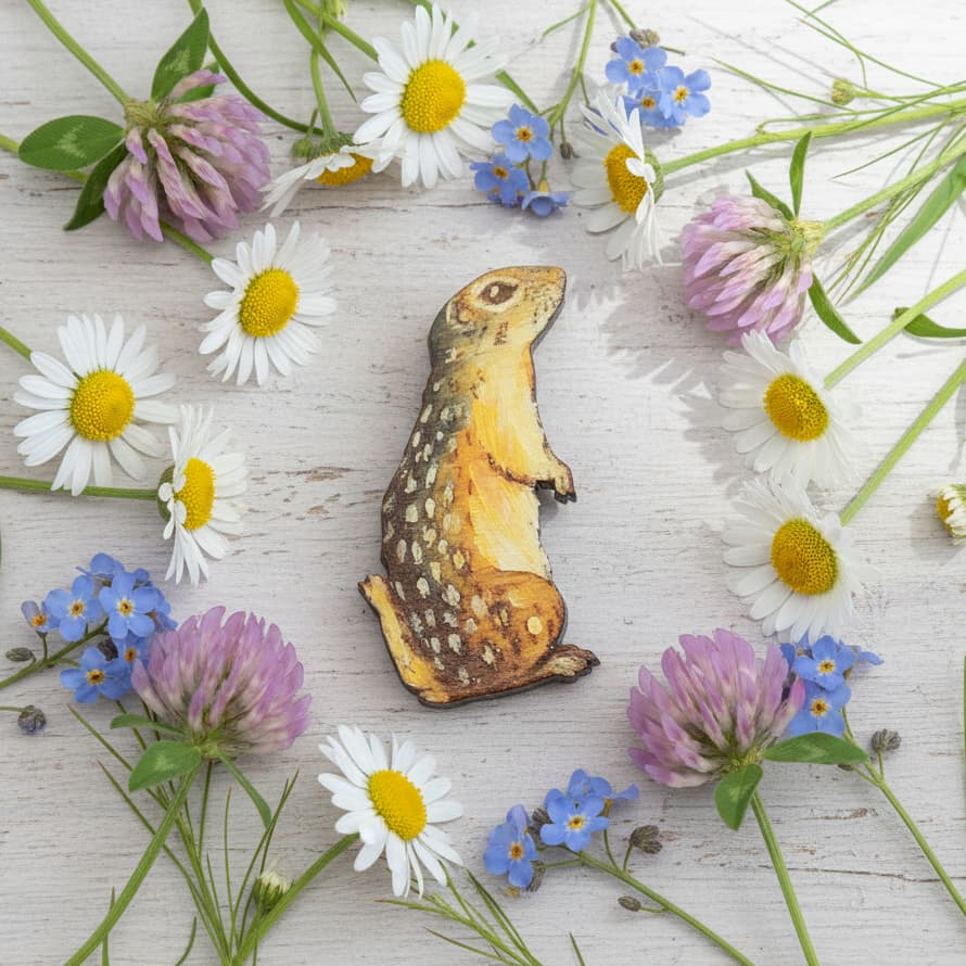 Брошка "Крапчатый суслик"