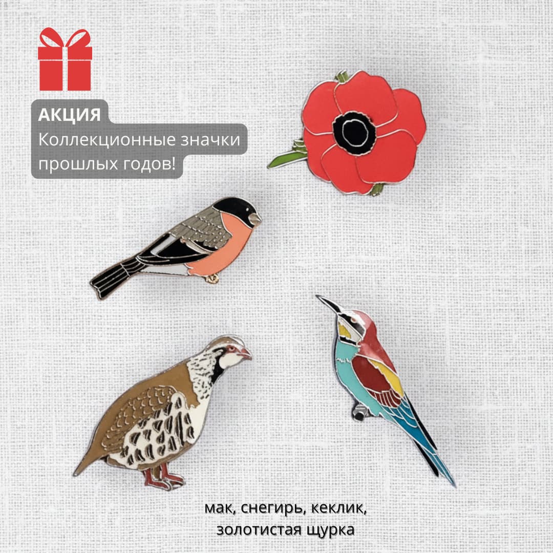 Набор из 4 коллекционных значков